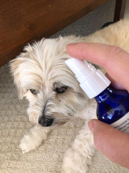 Balance - All Natural Liquid Supplement That Stabilizes Old or Weak Pets - Apply Directly to Body, Food & Water for Fast Results - Safe for All Pets (Spray, 1 Ounce)