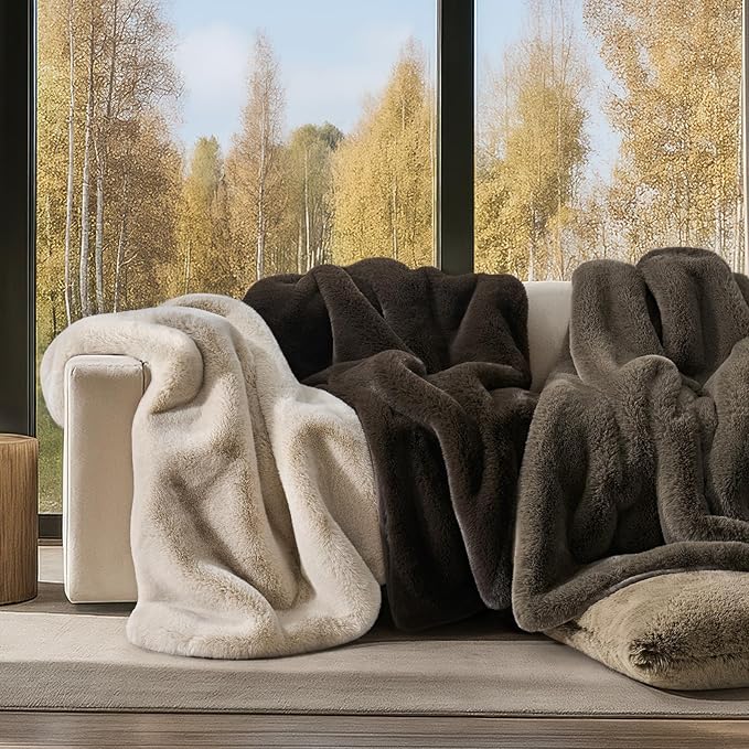 EVERGRACEHOME Luxury Soft Faux Chinchilla Fur Throw Blanket for Couch, Warm Thick Heavy Winter Throw Blanket 1220GSM for Bed, Fluffy Cozy Mink Blanket with Reversible Velvet, Birch Mink, 60"x80"