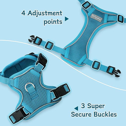 Small Dog Harness and Leash Set, Reflective Soft Breathable Mesh Vest, 3 Buckles, Adjustable Neck and Chest,Step in Dog Harness for Walking, Running, Training, Turquoise, M