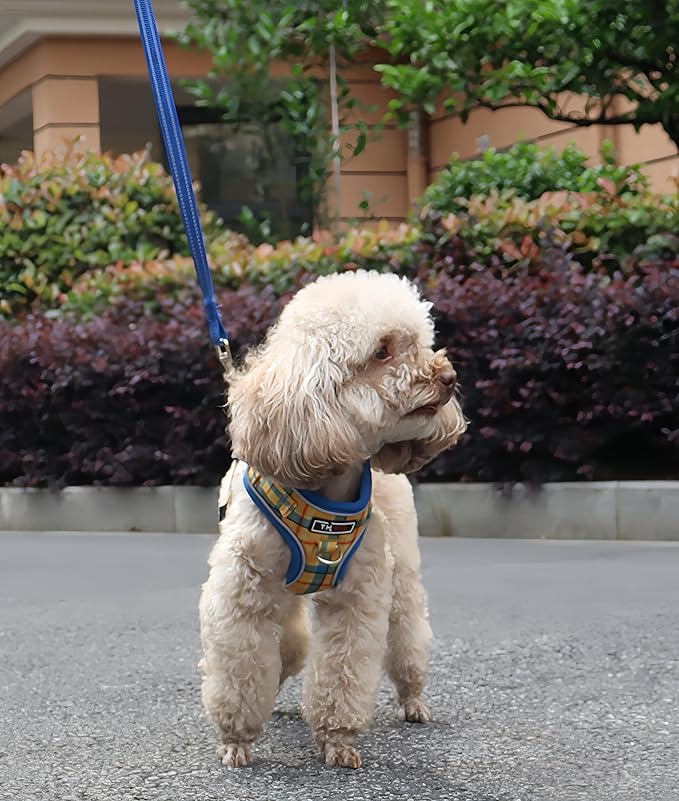 THAIN Reflective Dog Harness & Leash Set – No-Pull Design, Adjustable & Comfortable for Small Dogs (S, Yellow Plaid)