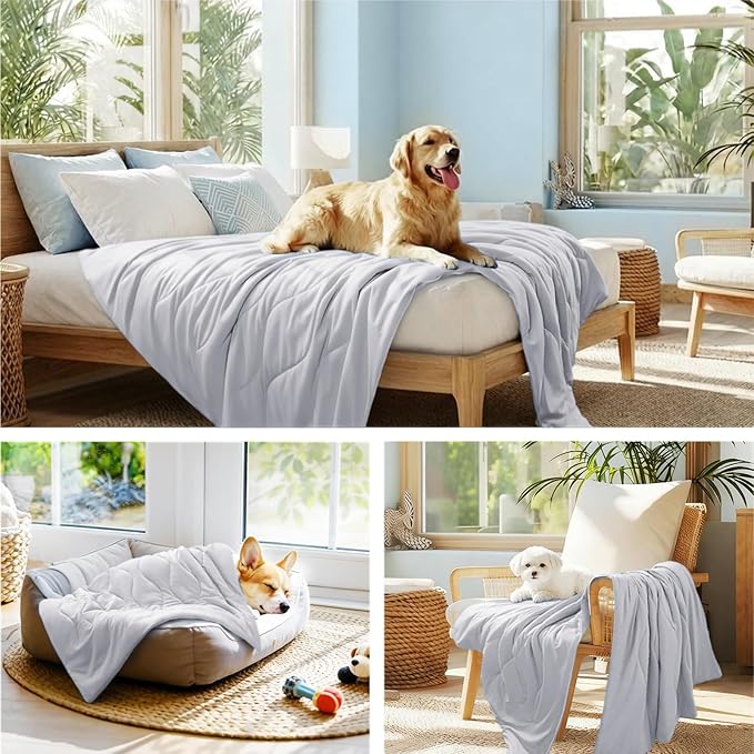Luciphia Premium Cooling Dog Blanket Washable Q-MAX>0.5 Small Medium Large Pet Mat Puppy Cat Self-Cooling Soft Breathable Calming Throw for Sofa Crate Bed (Light Grey,60x80 inches)