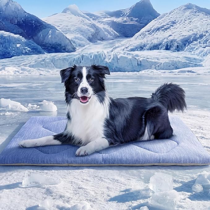 ASENKU Dog Cooling Mat, Portable & Durable Cooling Mat for Dogs, Summer Anti-Slip Breathable Cooling Bed for Medium-Large Dogs 35–60 lbs (Husky, Bulldog, Border Collie), 36x28 inches, Blue Diamond