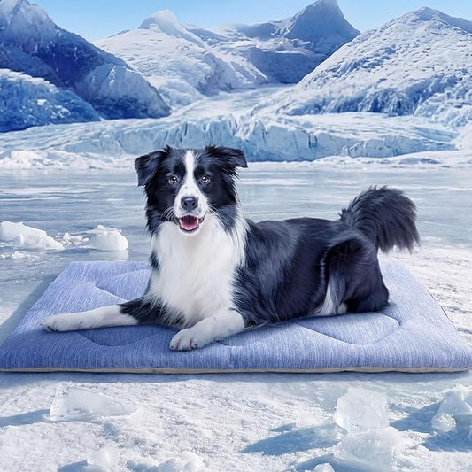 ASENKU Dog Cooling Mat, Portable & Durable Cooling Mat for Dogs, Summer Anti-Slip Breathable Cooling Bed for Medium-Large Dogs 35–60 lbs (Husky, Bulldog, Border Collie), 36x28 inches, Blue Diamond