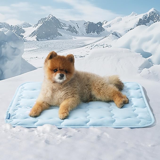 Bedsure Cooling Mat for Small Dog, Q-Max>0.5 Thin Breathable Cold Crate Pad for Puppy and Cat, Portable Washable Kennel Bed for Active Pet with Chill Soothing Fabric to Rapid Cooling, 24x18, Blue