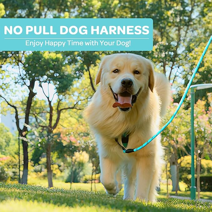 FURRYFECTION Plaid Dog Harness for Medium Dogs, Reflective No Pull Adjustable Pet Vest with Front Clip, Leash, Easy Control Handle and Seat Belt, Turquoise, M