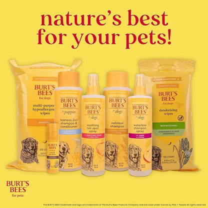 Burt's Bees for Pets Cat Dander Wipes with Colloidal Oat Flour, 98% Natural Origin Formulas, Cats Dandruff Remedy, Feline Cleansing Sheets for Allergy Relief, 3pk, 50ct