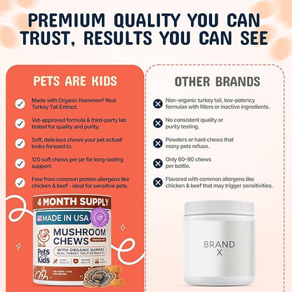Pets are Kids Turkey Tail Mushroom for Dogs with Organic Real Turkey Tail™ - 8:1 Extract Mushroom Chews for Lumps & Bumps, Immunity, Gut, Skin, Joint & Spine Support - Reishi, Lion’s Mane - 240 Chews