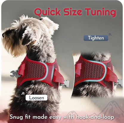 Eagloo Small Dog Harness and Leash Set, Step in Puppy Vest with Breathable Soft Mesh, Walking Reflective Pet Harness for Small Dogs, Red, S