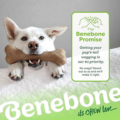 Benebone Bone Durable Dog Chew Toy for Aggressive Chewers, Real Bacon, Made in USA, Small