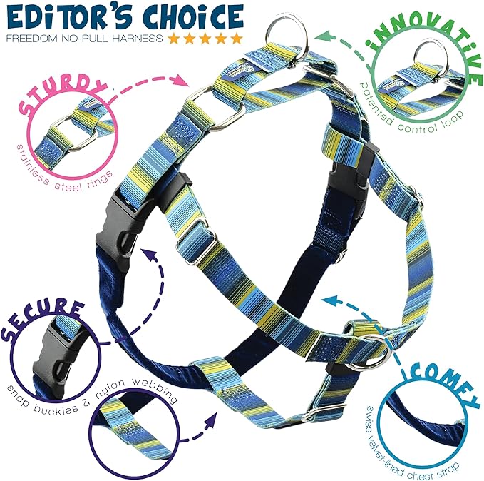 2 Hounds Design - Freedom No-Pull Harness & Training Leash in Blue and Green | Dual Leash Loops, No Pulling on Walks | Lined to Prevent Chaffing | for Small Sized Dogs (Size S, Chest 20”- 24”)