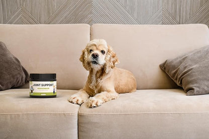 Joint Support with Green Lipped Mussel & Turmeric – Hip & Joint Supplement for Dogs & Cats, 175g (350 Servings) Kubi Pets