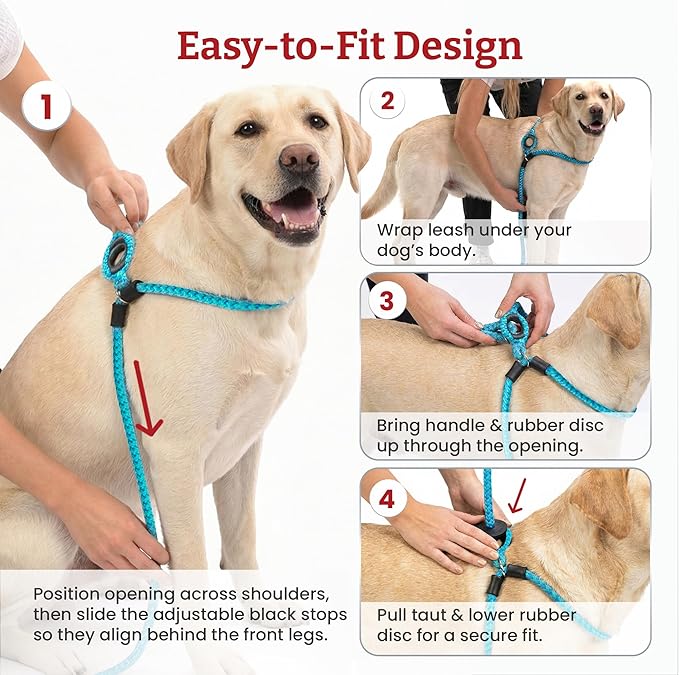 Harness Lead No Pull Dog Harness and Leash Set, Anti Pull Dog Harness, One-Piece Cushioned Rope Safely Prevents Escaping and Pulling (Extra Large, Red)