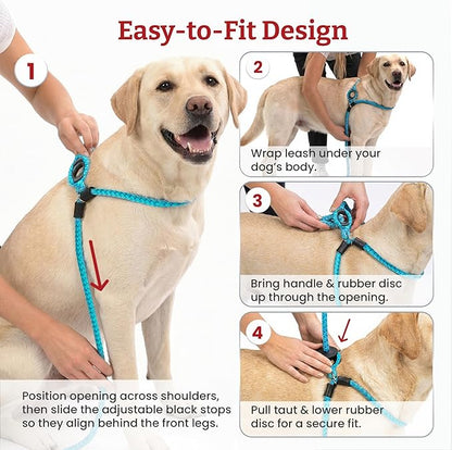 Harness Lead No Pull Dog Harness and Leash Set, Anti Pull Dog Harness, One-Piece Cushioned Rope Safely Prevents Escaping and Pulling (Medium/Large, Peacock/Blue/Lime)