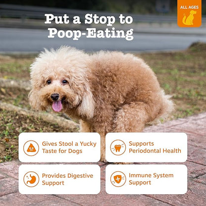 Zesty Paws Chew No Poo Bites for Dogs - Coprophagia Relief - Stool Eating Deterrent Soft Chews for Dogs - Gut, Periodontal & Immune System Support with Probiotics - Chicken - 90 Ct (Pack of 2)