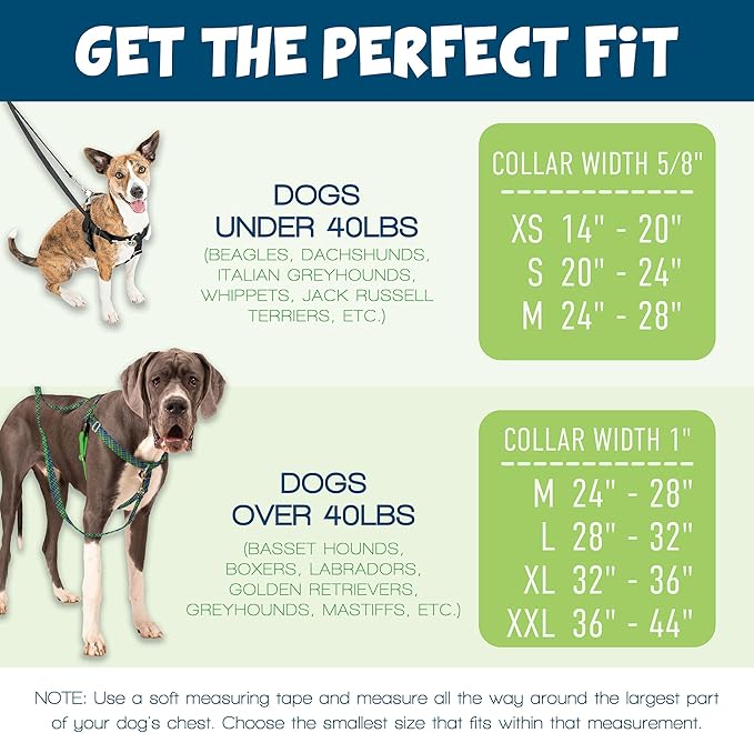 2 Hounds Design Freedom No Pull Dog Harness | Comfortable Control for Easy Walking |Adjustable Dog Harness and Leash Set | Small, Medium & Large Dogs | Made in USA | Solid Colors | 1" LG Turquoise