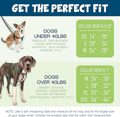2 Hounds Design Freedom No Pull Dog Harness, Adjustable Harness and Leash Set, Easy Walking & Comfortable Control, Fits Small, Medium & Large Dogs, Solid Colors, Made in USA, 1" XXL, Turquoise
