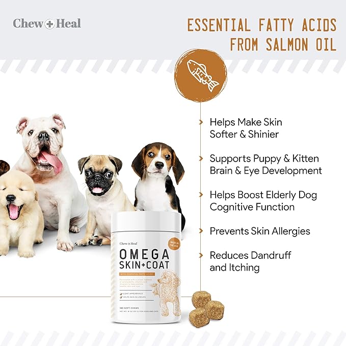 Omega Skin + Coat Dog Supplement