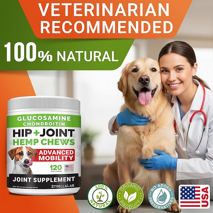 Hemp Chews for Dogs - Hip & Joint Supplement with Glucosamine - Joint Pain Relief Treats - Omega 3, Chondroitin, MSM - Advanced Mobility Support - Chicken Flavor - 120 Ct - Made in USA
