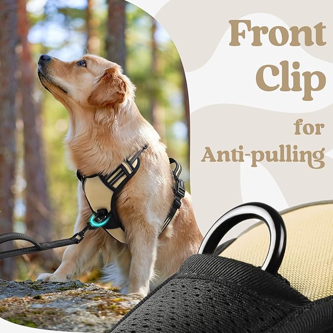 rabbitgoo Dog Harness Small Sized, No Pull Pet Harness with 3 Buckles, Adjustable Soft Padded Vest with Control Handle, Walking Reflective Pet Vest for Small Dogs, Beige, S