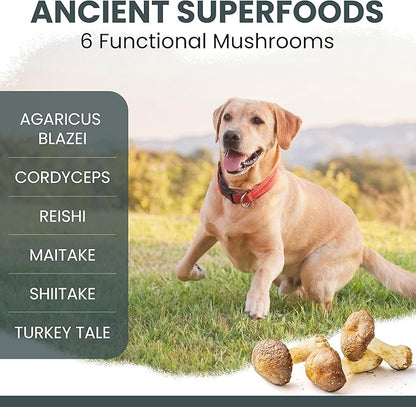 Immune Support Mushroom Complex, 90 Soft Chews - Mushroom Supplement for Dogs with Organic Turkey Tail, Shiitake, Reishi, Colostrum, and Fish Oil - Made in the USA
