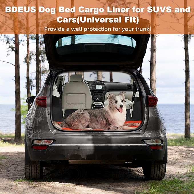 BDEUS Travel Dog Bed, Outdooor Camping Pet Mat, Portable Place Mat with Handle, Easy to Clean, Waterproof & Portable and Odor Resistant Pet Cooling Pad (X-Large 51" x 35", Orange)