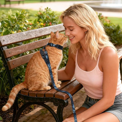 Cat Harness and Leash Set, 3-in-1 Escape Proof Adjustable, Comfortable Soft Lightweight, Safe, Easy to Wear, Walking Travel Kitten Harness for Small Medium Cats （Black