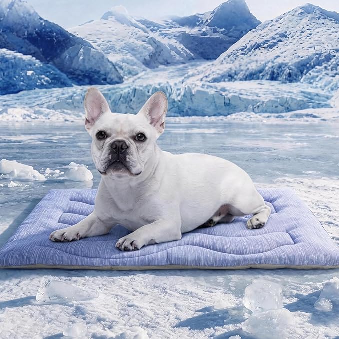 Dog Cooling Mat, Portable & Durable Cooling Mat for Dogs, Physical Heat Absorption, Anti-Slip Cooling Bed for S-Medium Dogs up to 35 lbs (French Bulldog, Beagle, Corgi), 32x20 inches, Blue Wave
