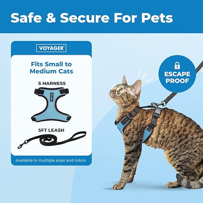 Voyager Escape-Proof Step-in Lock Cat Harness & 5ft Neoprene-Handle Leash Set All-Weather Mesh with Reflective Stitching for Small to Large Cats by Best Pet Supplies, Black Trim-Baby Blue (327), S