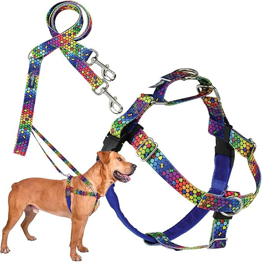 2 Hounds Design - Freedom No-Pull Harness & Training Leash in Blue and Rainbow | Dual Leash Loops, No Pulling on Walks | Lined to Prevent Chaffing | for Large Sized Dogs (Size L, Chest 28”- 32”)