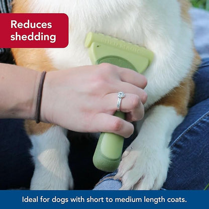 Coastal Pet Safari Shed Magic Deshedding Tool for Dogs with Medium to Long Hair - Deshedding & Detangling Dog Brush - Small