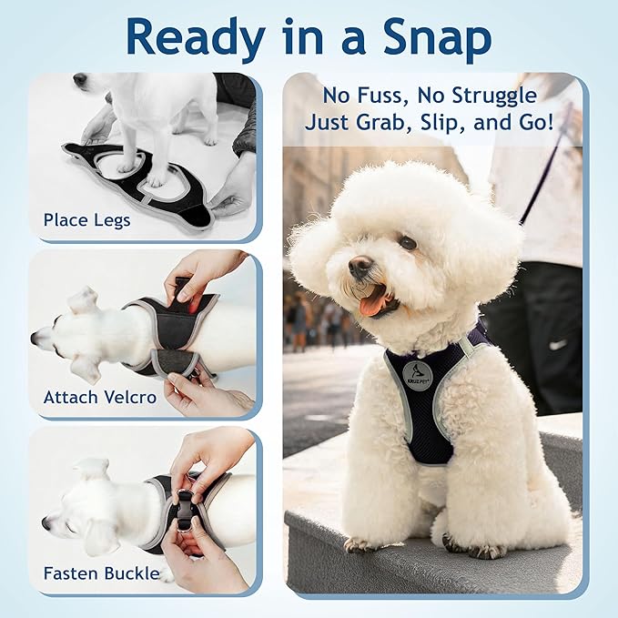 Kruz Dog Harness (Chest 13.5"-14", Weight 4–6 lbs) Athletica Adjustable Heavy Duty No Choke Puppy Vest for Small Dogs Lightweight Air Mesh, Reflective, Puppy Essentials – Black, X-Small