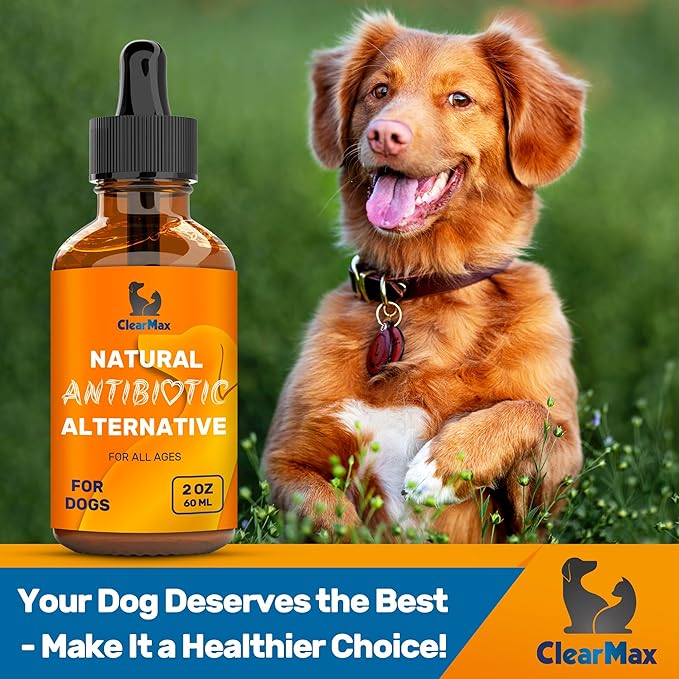 Natural Supplements for Dogs and Cats – Dog Natural Supplement – Bundle