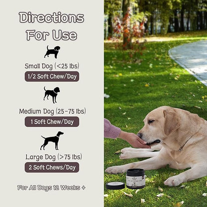 Best Buddy Multivitamin 15-in-1 Treats for Dogs I Cats, Complete Health Supplement Joint Support + Digestive Enzymes, Grain Free Dog Vitamins and Supplements for Skin & Coat (Chicken, 225g)