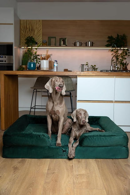 NOAH & PAW Giant Dog Bed XXL, 55x45x11 Inch, Orthopedic Dog Beds, Eggshell Memory Foam Infused with Cooling Gel, Inner Cover, Waterproof, Machine Washable (Velvet Sofa Collection)