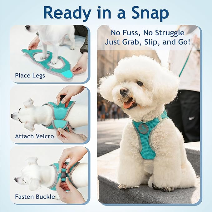 Kruz Dog Harness (Chest 13.5"-14", Weight 4–6 lbs) Athletica Adjustable Heavy Duty No Choke Puppy Vest for Small Dogs Lightweight Air Mesh, Reflective, Puppy Essentials – Turquoise, X-Small