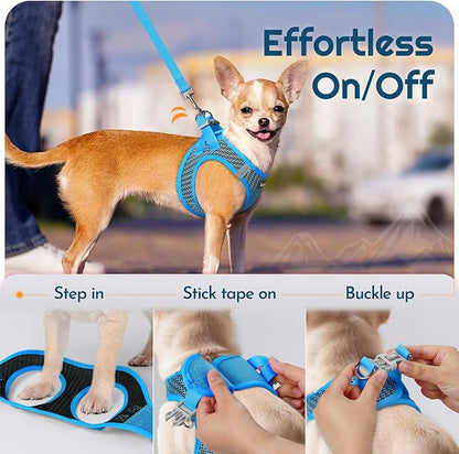 Eagloo Small Dog Harness and Leash Set, Step in Puppy Vest with Breathable Soft Mesh, Walking Reflective Pet Harness for Small Dogs, Blue, XS
