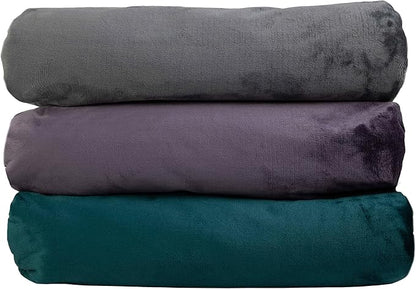 Lavish Home Waterproof Blanket - 80x80 King-Size Blanket for Kids, Pets, and Outdoors - Throw for Bed, Couch, Chair and Car (Purple)