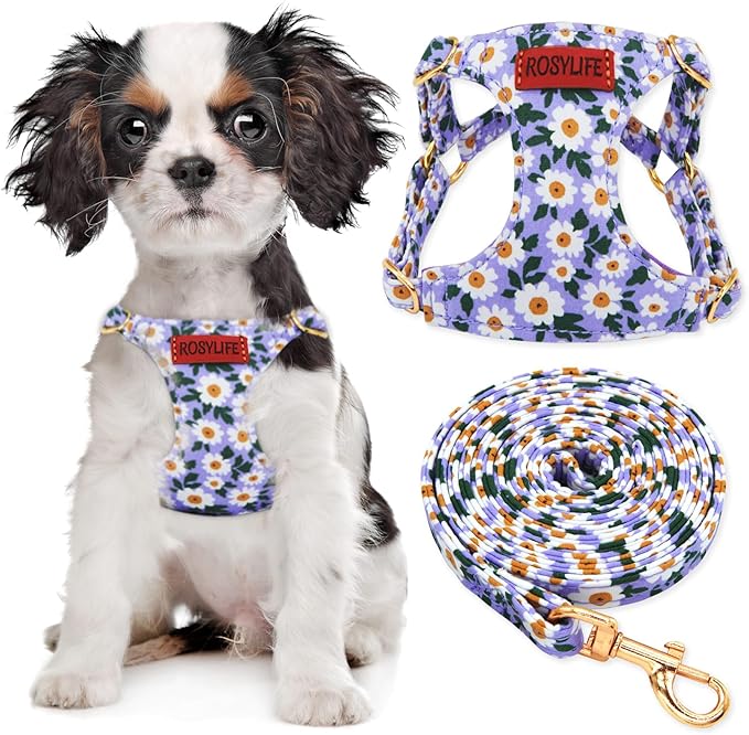 No Pull Dog Harness Adjustable Small Dog Harness and Leash Set, Lightweight and Soft Dog Harness No Choke Escape Proof Pet Harness Vest (Purple Daisy, XS)