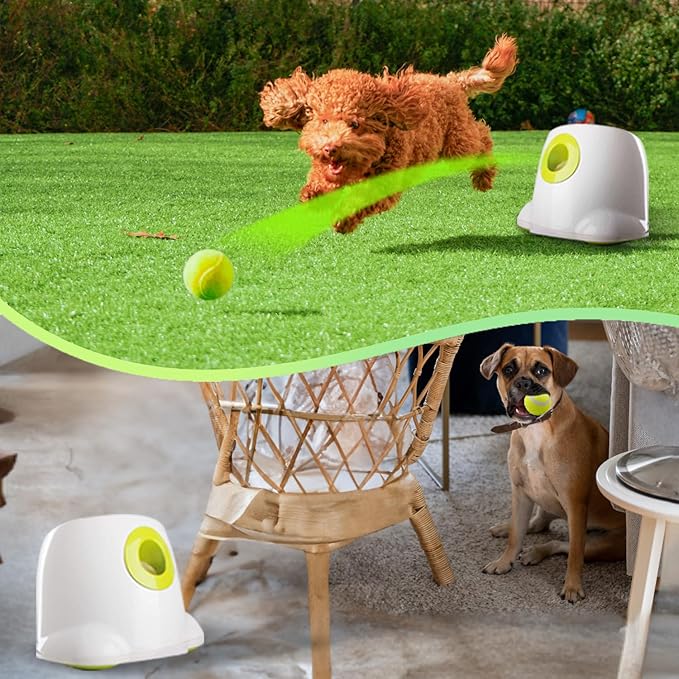 ALL FOR PAWS Automatic Dog Ball Launcher, Interactive Fetch Toy for Small to Medium Dogs, Rechargeable Pet Thrower Machine for Indoor & Outdoor Play, 3 Pcs 2-Inch Balls Included