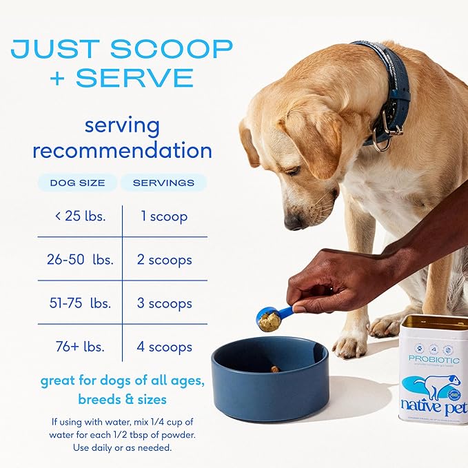 Native Pet Probiotics for Dogs – Dog Probiotic Powder for Gut & Digestive Health, Vet-Formulated 6B CFUs Dog-Specific Probiotic Strains, Supports Stool Quality & Diet Transitions – 120 Scoops
