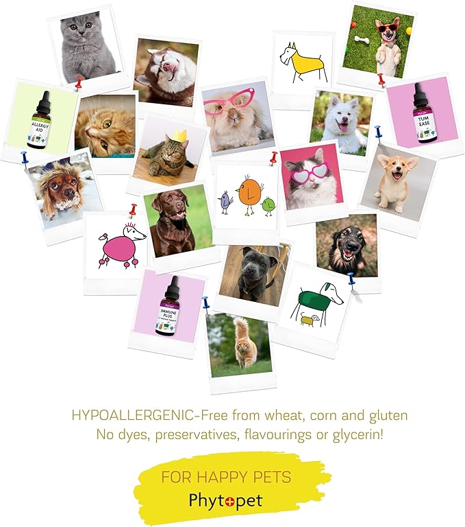 Phytopet Boost | 30ml | 100% Natural Herbal Remedy | Promotes Stamina, Recovery, Wellbeing | For Dogs, Cats, Birds, Horses, Pets |
