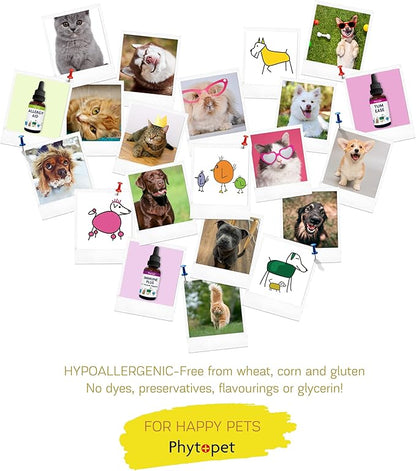 Phytopet Boost | 30ml | 100% Natural Herbal Remedy | Promotes Stamina, Recovery, Wellbeing | For Dogs, Cats, Birds, Horses, Pets |
