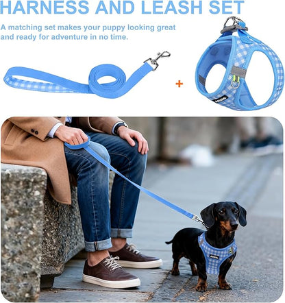 AIITLE Breathable Mesh Dog Vest Harness, No Pull Escape Proof Vest Harnesses with Reflective Bands, Adjustable Plaid Pet Outdoor Harnesses for Small and Medium Dogs Blue M