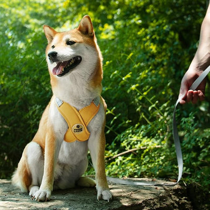 Patas Lague Dog Harness with Leash Set Adjustable Soft Padded Step-in Dog Vest No Choke No Pull Reflective for Small Medium Pets with Poop Bags and Dispenser, Solid and No-chew, Yellow M