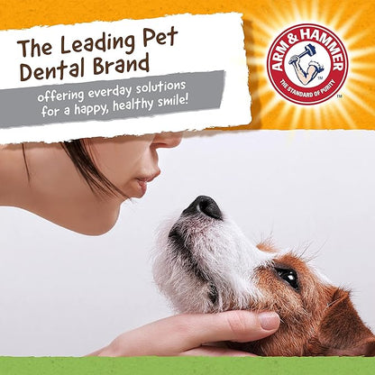 Arm & Hammer for Pets Nubbies Dental Toys T-Rex Dental Chew Toy for Dogs Best Dog Chew Toy for Moderate Chewers Reduces Plaque & Tartar Buildup Without Brushing, Mint Flavor (Pack of 1)