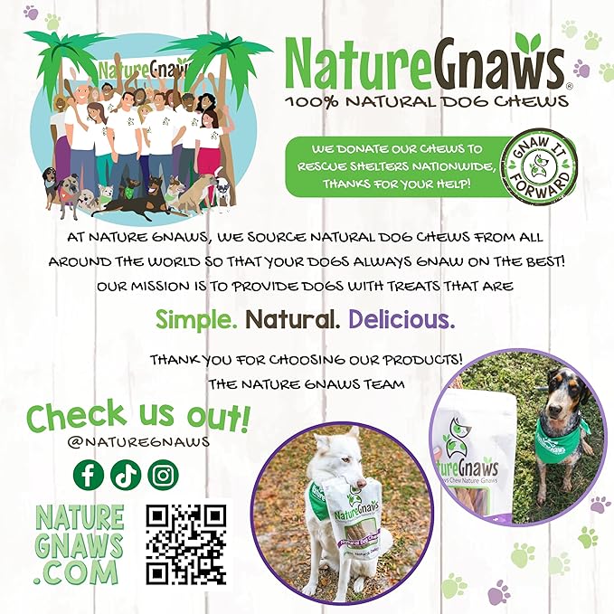 Nature Gnaws Beef Gullet Sticks for Dogs 5-6" (1Lb) - Natural Beef Jerky Stick Dog Chew Treats - Rawhide Free
