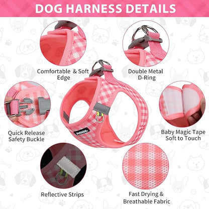 AIITLE Easy Walk Dog Vest Harness and Leash Set, Pet Supply No Pull, Breathable Mesh, Reflective Stripes, Adjustable Escape Proof Pet Outdoor Harnesses for Medium Dogs Watermelon L