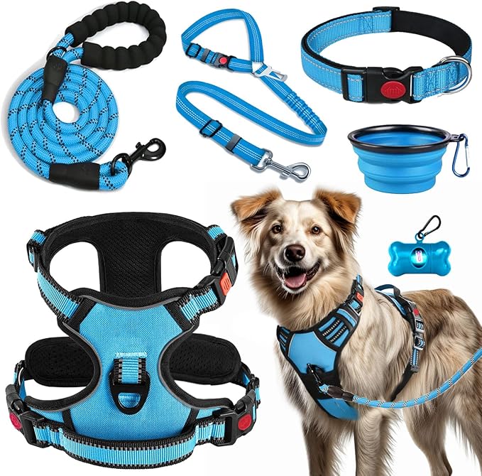 LOBEVE No Pull Dog Harness, Collar & Leash Set | Includes Dog Seat Belt, Collapsible Bowls & Poop Bag Dispenser. Ideal for Training, Walking, Hiking. Fits Small to Large Dogs(Blue-XL)