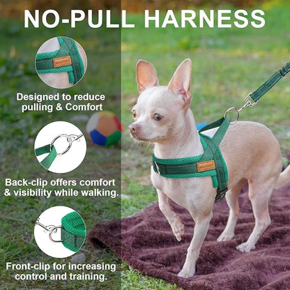BEAUTYZOO Dog Harness for Small Dogs, No Pull Dog Harness and Leash Set, Soft Escape Proof Puppy Vest Harness with Handle, Reflective Lightweight Step in Harness for Girl Boy Dogs, Green S
