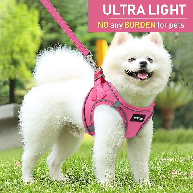 GAMUDA Small Pet Harness Collar and Leash Set, Step in No Chock No Pull Linen Fabric Soft Mesh Dog Vest Harnesses Reflective for Dogs Puppy Cats Kitten Rabbit (Pink, XXS)